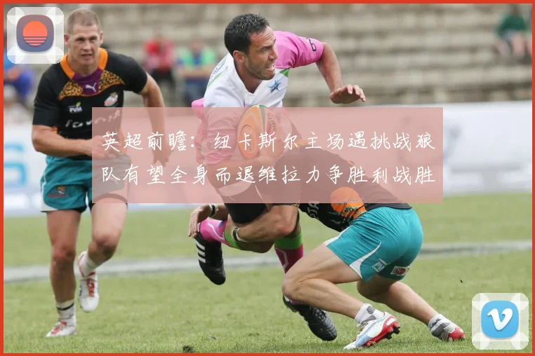 英超前瞻：纽卡斯尔主场遇挑战狼队有望全身而退维拉力争胜利战胜埃弗顿